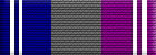 Departmental Service Badge: Support